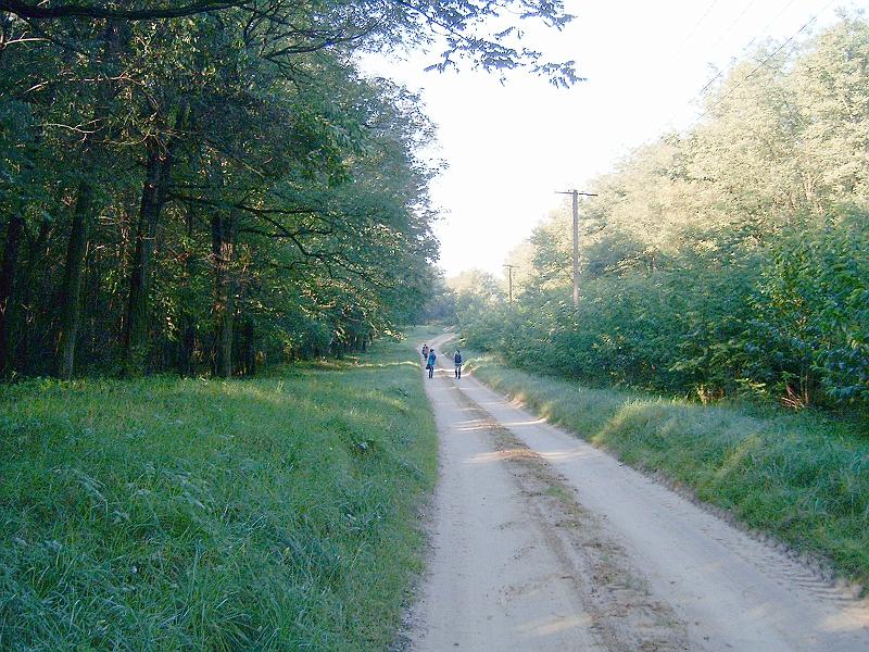 2010.10.09. 005.jpg